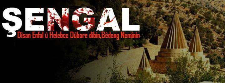 shangal 2